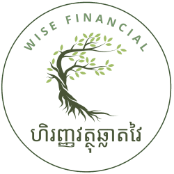 Wise Financial logo